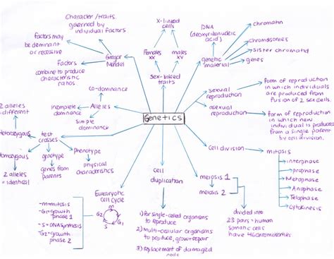 Genetic Concept Map Biology E Portfolio