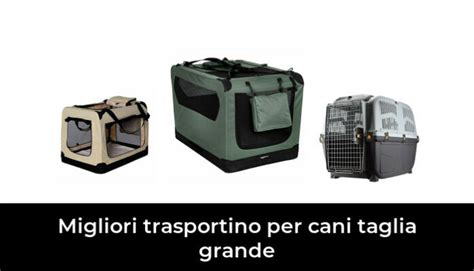 Migliori Trasportino Per Cani Taglia Grande Nel Recensioni