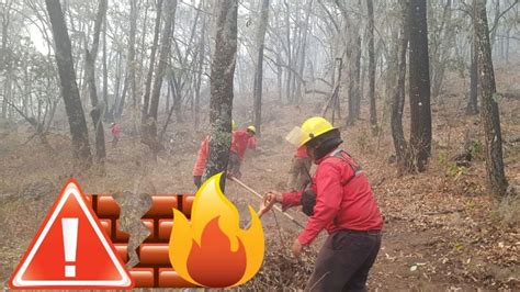 A 8 días del incendio en Nicolás Flores controlado a 100 por ciento