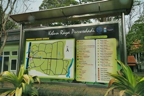 Kebun Raya Purwodadi - Harga Tiket, Rute Lokasi & Spot Terbaru 2024