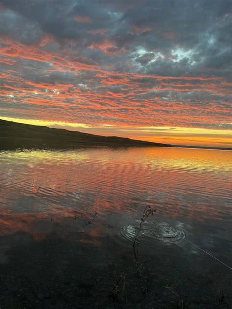 Lake Oahe Fishing Whitlock Bay Gettysburg SD