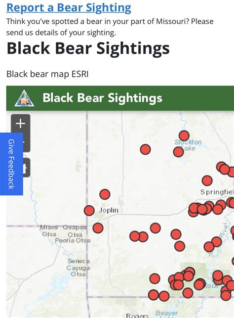 Bear Sightings In Missouri Map Of Bibby Cherice