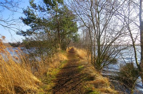 Dit Zijn De 4 Mooiste Wandelroutes In De Peel