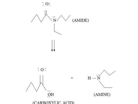 Amine Vs Amide Structure