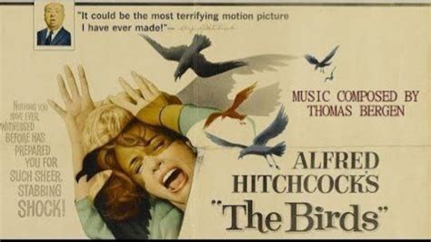 Cine Se Cumplen 60 Años De Los Pájaros Una De Las Películas Icónicas De Hitchcock