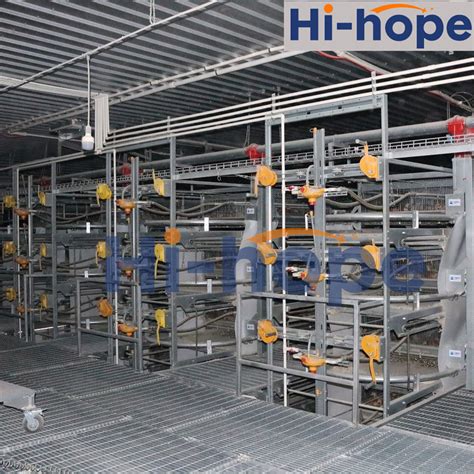 Supply Completely Automatic Laying Hen Egg Layer Battery H Type Chicken