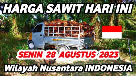 Harga Sawit Hari Ini Terbaru Agustus Wilayah Daerah Nusantara