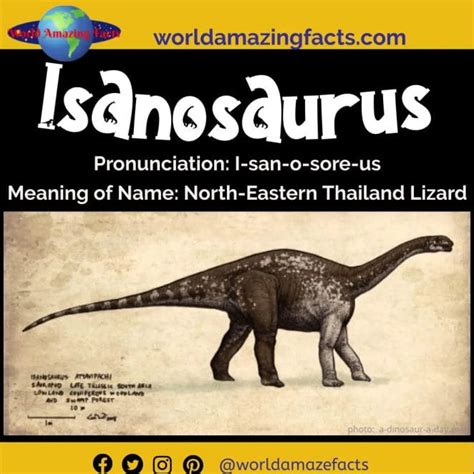 Dinosaur Names That Start With I Dinosaur Pictures And Facts