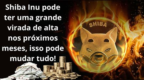 Shiba Inu Shib Essa Noticia Pode Mudar O Futuro Da Shib Para Grande