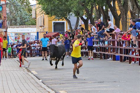 Almodóvar del Campo ha recuperado hoy sus tradicionales Encierros