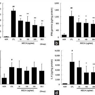 Effects of MECA on cytokine production in CD mice The levels of TNF α