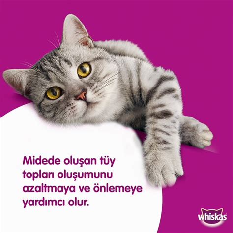 Whiskas Anti Hairball Kedi D L Mamas Gr Fiyat