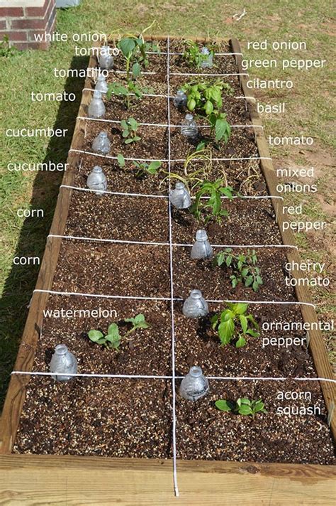 Easy Steps To Square Foot Garden Success The Garden Glove