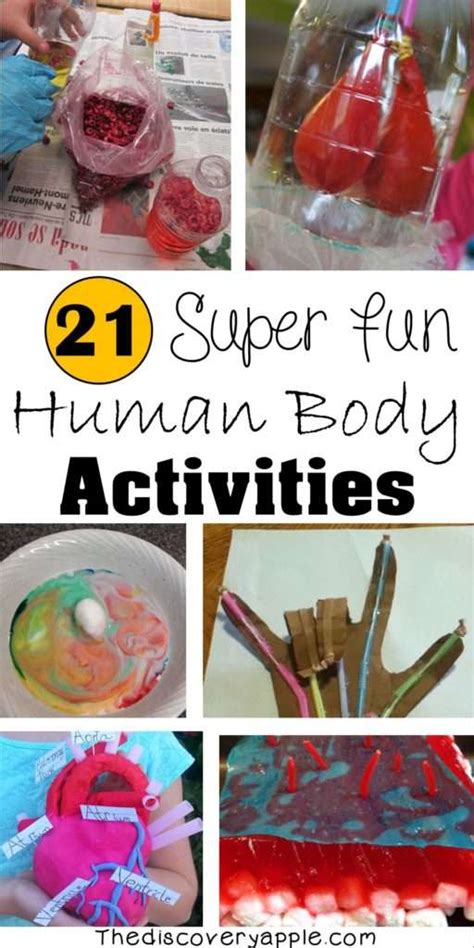 21 Super Fun Human Body Activities And Experiments For Kids The