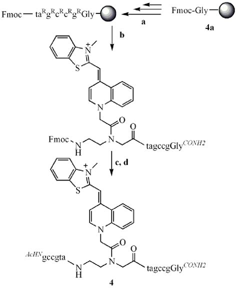 Scheme 4 A Cycle Of 1 Piperidine Dmf 2 Fmoc B Bhoc Oh Nmm Download Scientific Diagram