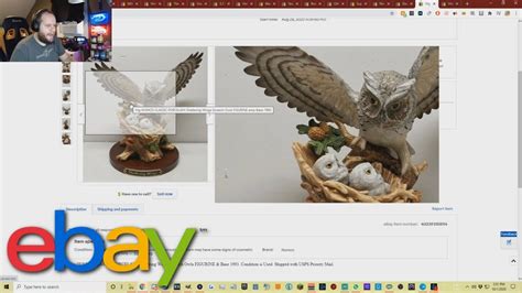 I Sold This Owl For On Ebay What Sold On Ebay Last Week Youtube