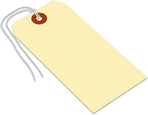 Smartsign Blank Shipping Tags With Pre Attached Loop Strings Size