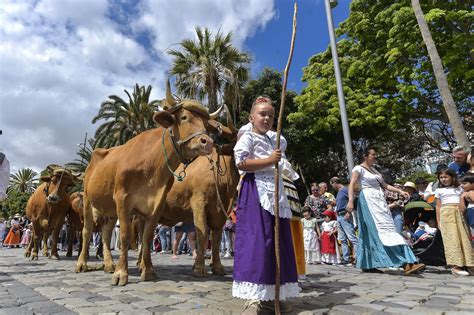 Romer A Por El D A De Canarias En Las Palmas De Gran Canaria