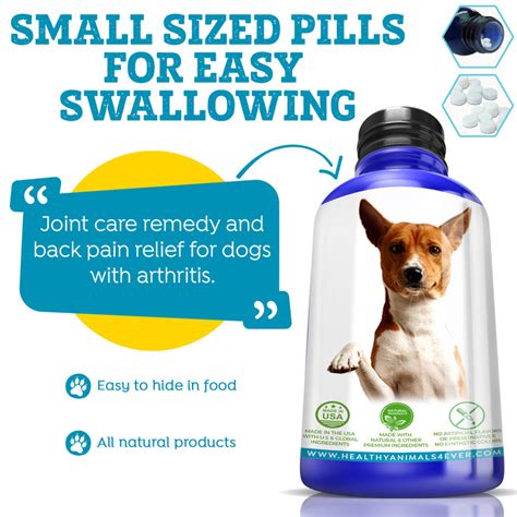 Hip, Joint and Back Pain Relief - Dogs — Healthy Animals 4Ever