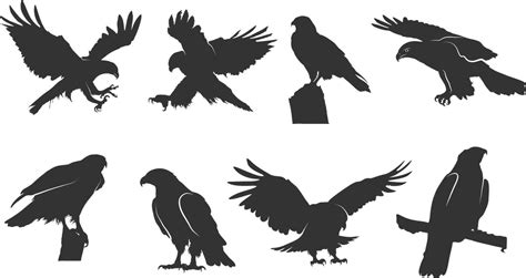 Hawk silhouettes, Flying hawk silhouette, Tribal hawk silhouette, Hawk ...