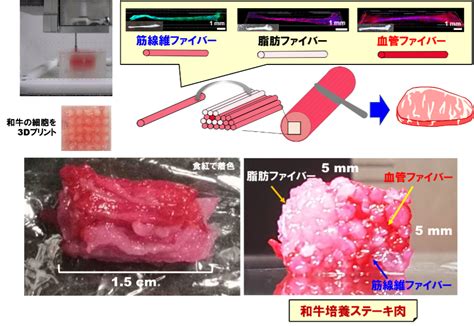 3dプリントで和牛の“サシ”まで再現可能に！ リソウ