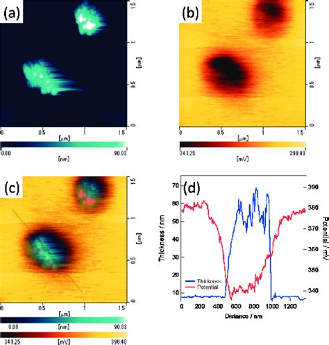 Kelvin Probe Force Microscopy KPFM Image And Contact Potential