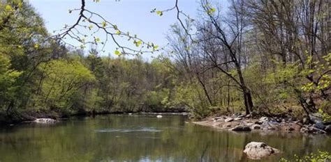 Mayo River State Park Master Plan By North Carolina Division Of Parks