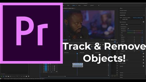 How To Track And Remove Moving Objects In Premiere Pro Youtube