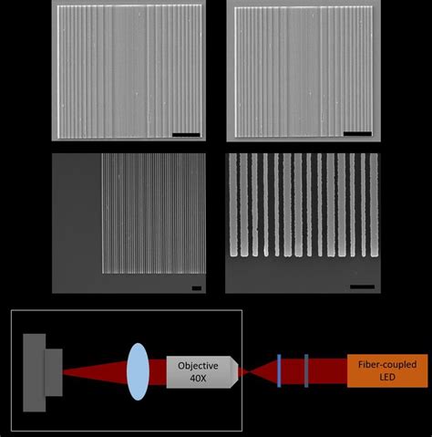 Scanning Electron Micrograph Sem Of A Inverse Designed Edof