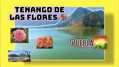 Recorrido De Plantas Tenango De Las Flores Puebla Youtube