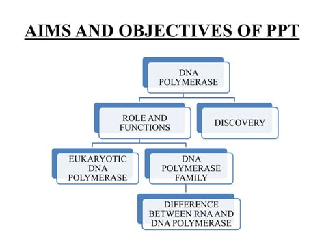 DNA POLYMERASE | PPT