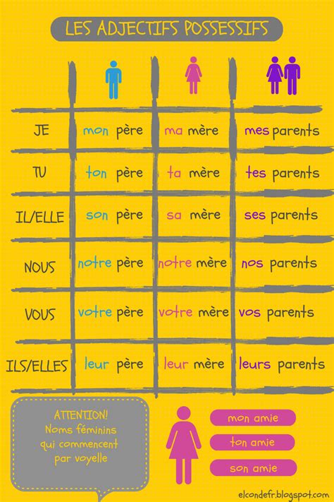 Les Adjectifs Possessifs