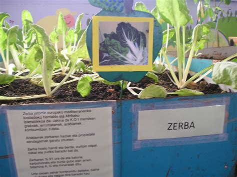 ZERBA | Gure Txokoa