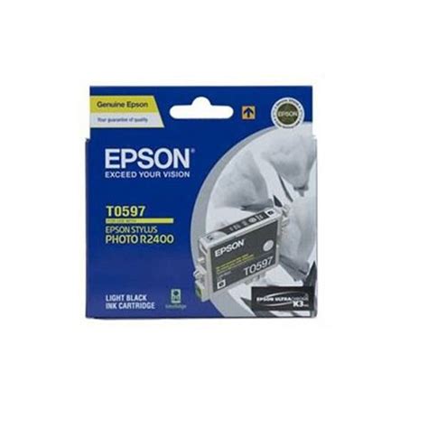 EPSON Ink Cartridge Light Black C13T059790