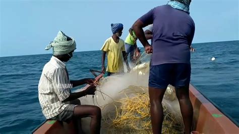 Traditional Fishing In Tamilnadu Sea Shore India YouTube