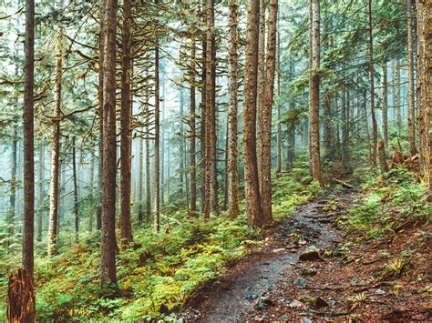 Easy Hikes in Metro Vancouver - Uncovering British Columbia