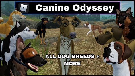 Canine Odyssey New Greyhound Easter Event Roblox Dog Rp Game