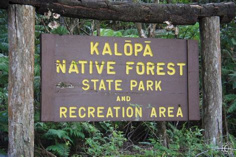 Kalopa State Park in Honokaa, Big Island, Hawaii | Hawaiian Beach Rentals