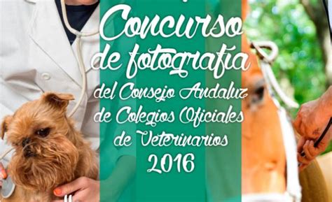 Veterinarios En Acción Tema Del Ii Concurso De Fotografía Del Consejo Andaluz De Colegios