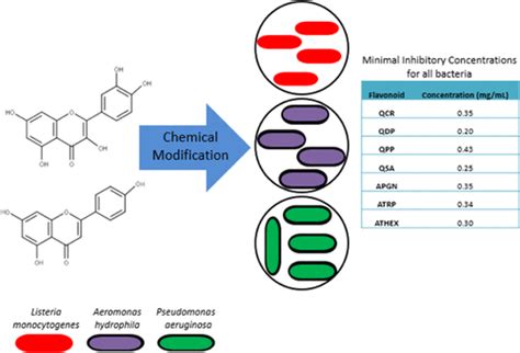 Antimicrobial Activity Of A New Class Of Phosphorylated And Modified