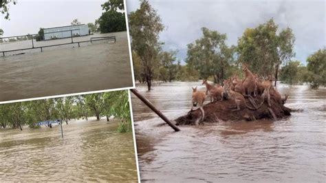 Record Floods Cut Off North West Towns As Ex Tropical Cyclone Ellie