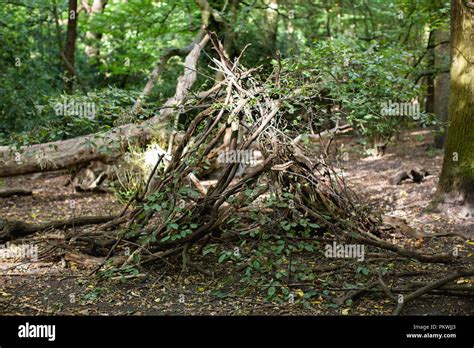 Treehouse Children Build Hi Res Stock Photography And Images Alamy