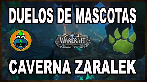 Duelos De Mascotas En Caverna Zaralek World Of Warcraft Youtube