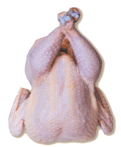 Full Frozen Chicken Products Malaysia Full Frozen Chicken Supplier