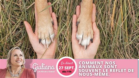 910 Giuliana la fée de l Ouest Comment nos animaux sont souvent le