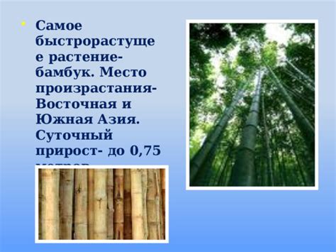 Интересные факты из жизни растенний - начальные классы, презентации