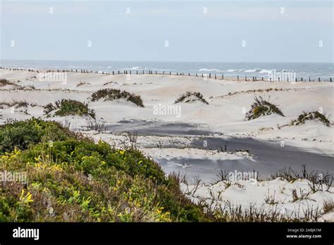 The Atlantic Ocean Along The Beaches And Sand Dunes Of Assateague Island National Seashore