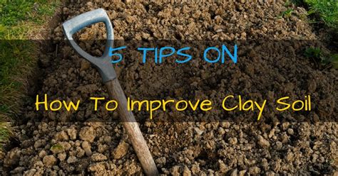 Tips On How To Improve Clay Soil Gardening Tips That Work