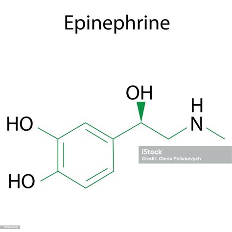 Epinephrine Formula Chemical Molecule Adrenaline Molecular Structure ...