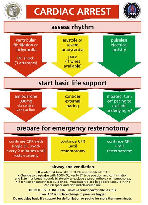 Cardiac Arrest Algorithm / PALS Cardiac Arrest Algorithm - ACLS Medical ...